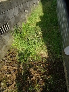 160724-1().jpg