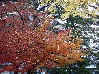 161121-2().jpg