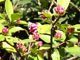 170303-1().jpg