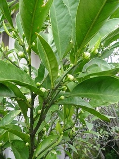 170505-1().jpg