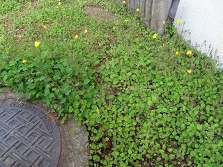 170507-1().jpg